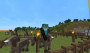people:glitchy-noble-steed.png