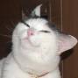 people:kitalke_source.jpg