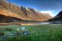 settlements:sheep_in_glencoe.jpg