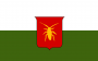 settlements:szczebrzeszyn_flaga.png